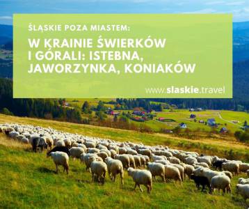 W krainie świerków i górali: Istebna, Jaworzynka, Koniaków