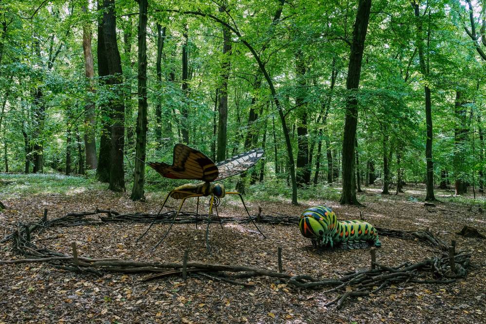 Arboretum Bramy Morawskiej