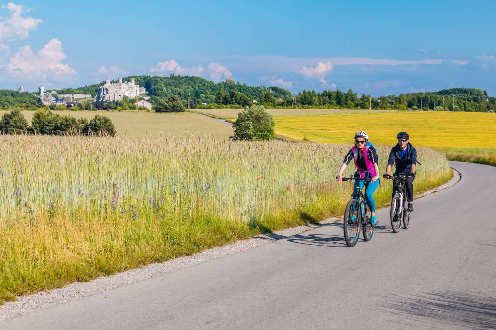 Rowerowy Szlak Orlich Gniazd